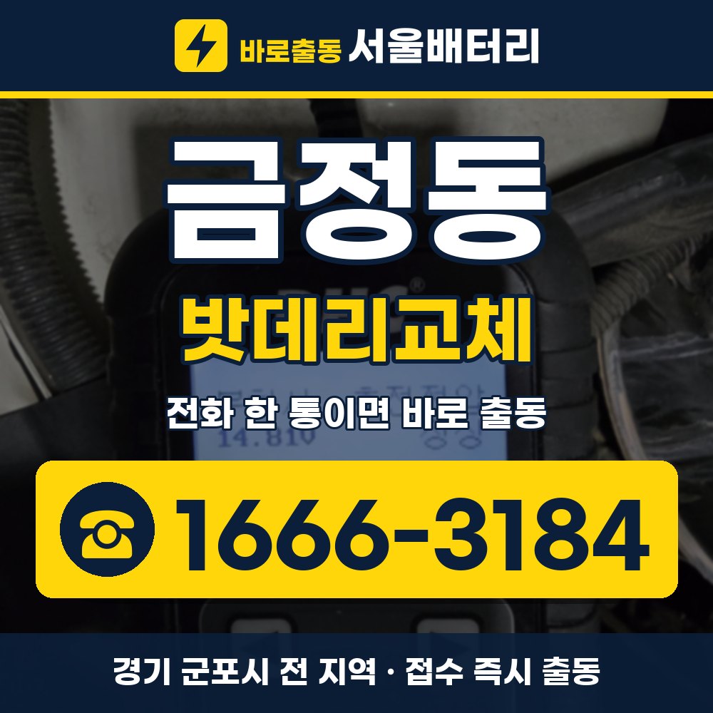군포시 금정동 밧데리교체 출장 안내 배너, 전화 1666-3184